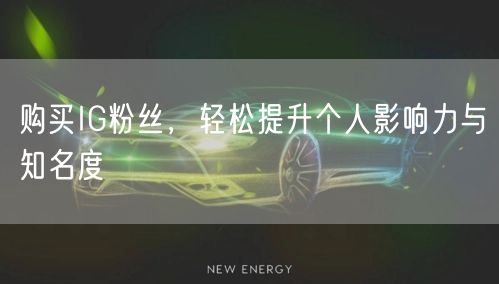 购买IG粉丝,轻松提升个人影响力与知名度