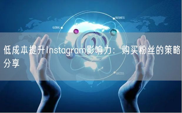 低成本提升Instagram影响力：购买粉丝的策略分享