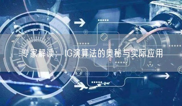 专家解读：IG演算法的奥秘与实际应用