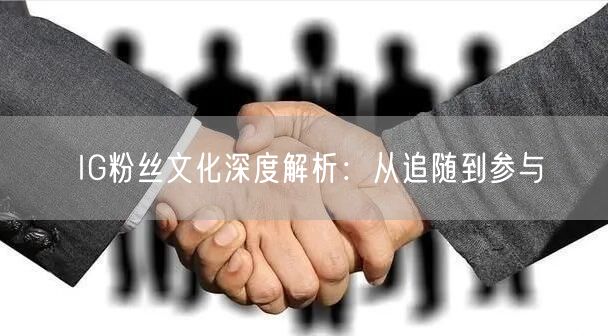 IG粉丝文化深度解析：从追随到参与