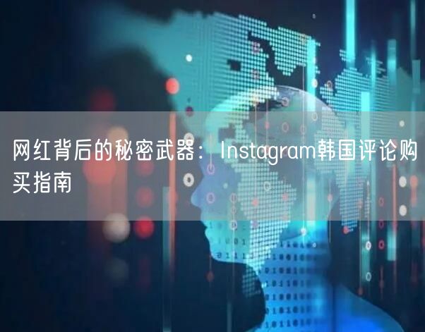 网红背后的秘密武器：Instagram韩国评论购买指南