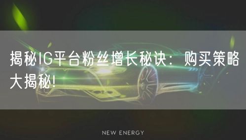 揭秘IG平台粉丝增长秘诀：购买策略大揭秘!