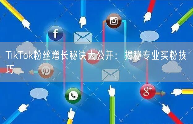 TikTok粉丝增长秘诀大公开：揭秘专业买粉技巧