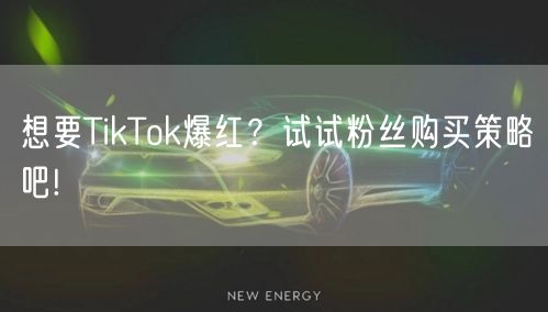 想要TikTok爆红？试试粉丝购买策略吧!