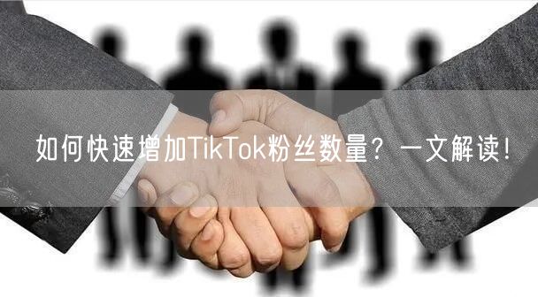 如何快速增加TikTok粉丝数量？一文解读！