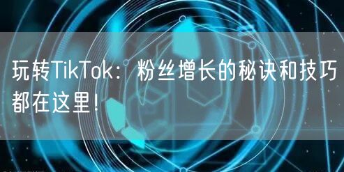 玩转TikTok：粉丝增长的秘诀和技巧都在这里！