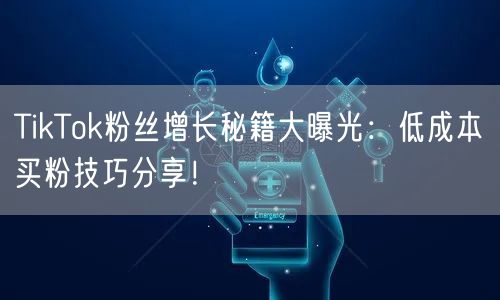 TikTok粉丝增长秘籍大曝光：低成本买粉技巧分享！