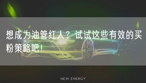 想成为油管红人？试试这些有效的买粉策略吧！