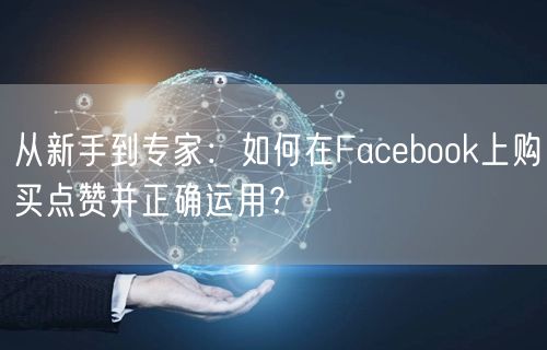 从新手到专家：如何在Facebook上购买点赞并正确运用？
