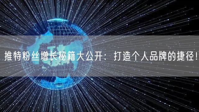 推特粉丝增长秘籍大公开：打造个人品牌的捷径！