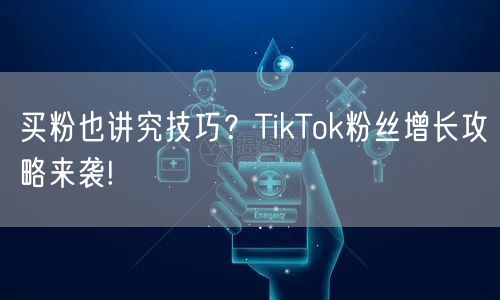 买粉也讲究技巧？TikTok粉丝增长攻略来袭!