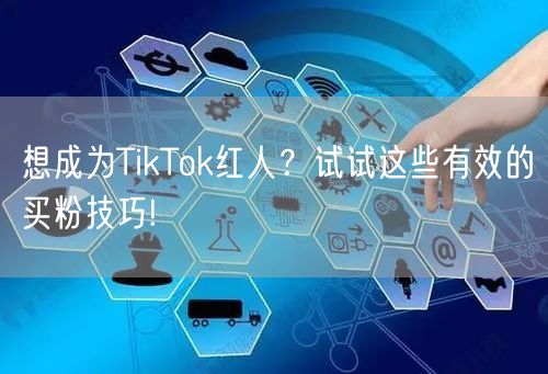 想成为TikTok红人？试试这些有效的买粉技巧!