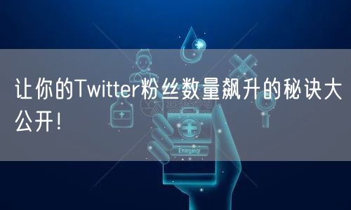 让你的Twitter粉丝数量飙升的秘诀大公开！