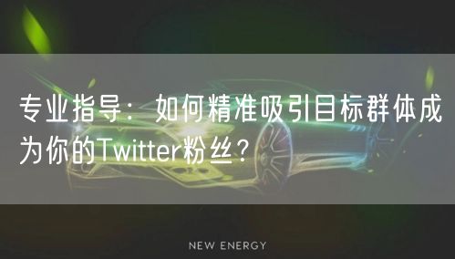 专业指导：如何精准吸引目标群体成为你的Twitter粉丝？
