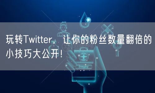 玩转Twitter，让你的粉丝数量翻倍的小技巧大公开！