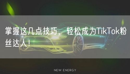 掌握这几点技巧，轻松成为TikTok粉丝达人！