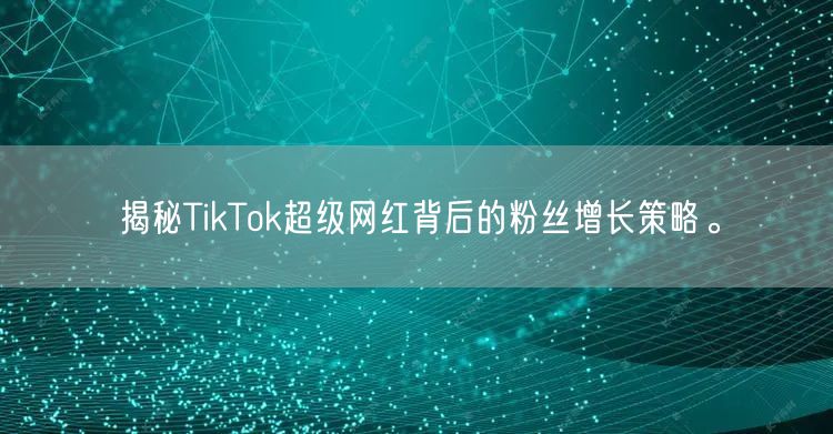 揭秘TikTok超级网红背后的粉丝增长策略。