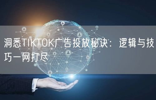 洞悉TIKTOK广告投放秘诀：逻辑与技巧一网打尽