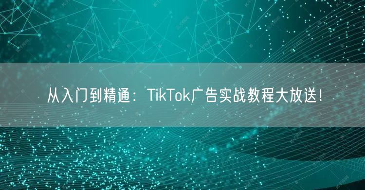 从入门到精通：TikTok广告实战教程大放送！