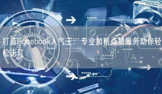 打造Facebook人气王：专业加粉点赞服务助你轻松走红