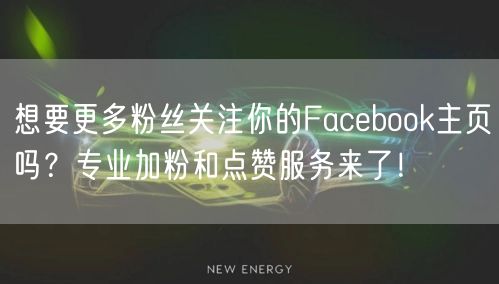 想要更多粉丝关注你的Facebook主页吗？专业加粉和点赞服务来了！