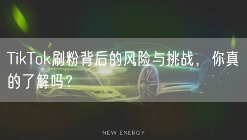 TikTok刷粉背后的风险与挑战，你真的了解吗？