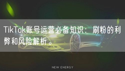 TikTok账号运营必备知识：刷粉的利弊和风险解析。