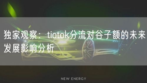 独家观察：tiotok分流对谷子额的未来发展影响分析