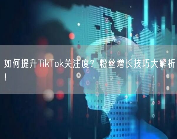 如何提升TikTok关注度？粉丝增长技巧大解析！
