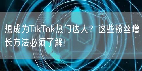 想成为TikTok热门达人？这些粉丝增长方法必须了解！
