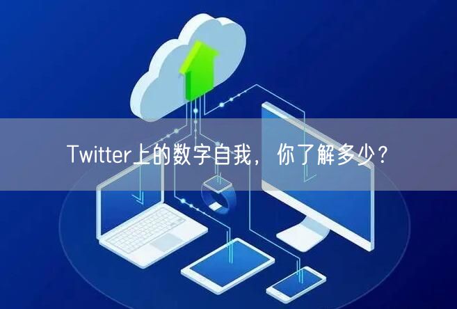 Twitter上的数字自我，你了解多少？