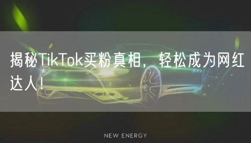 揭秘TikTok买粉真相，轻松成为网红达人！