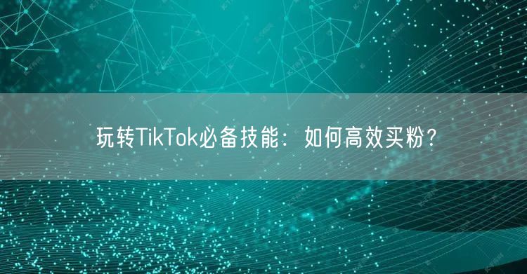 玩转TikTok必备技能：如何高效买粉？