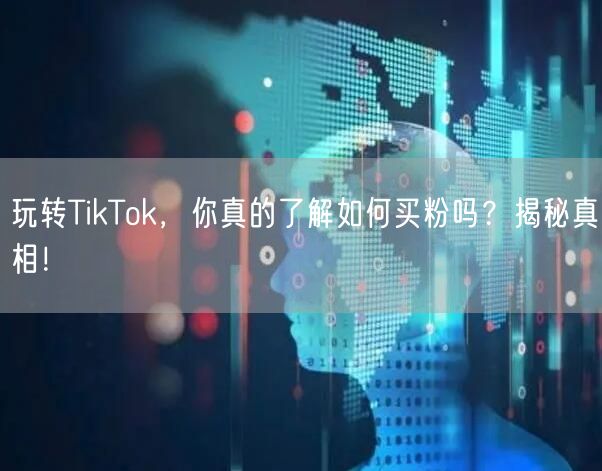 玩转TikTok，你真的了解如何买粉吗？揭秘真相！